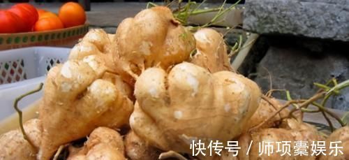 润肺|女性要养生，不妨多吃此食物，清热降火、润肺去燥，谁吃谁健康