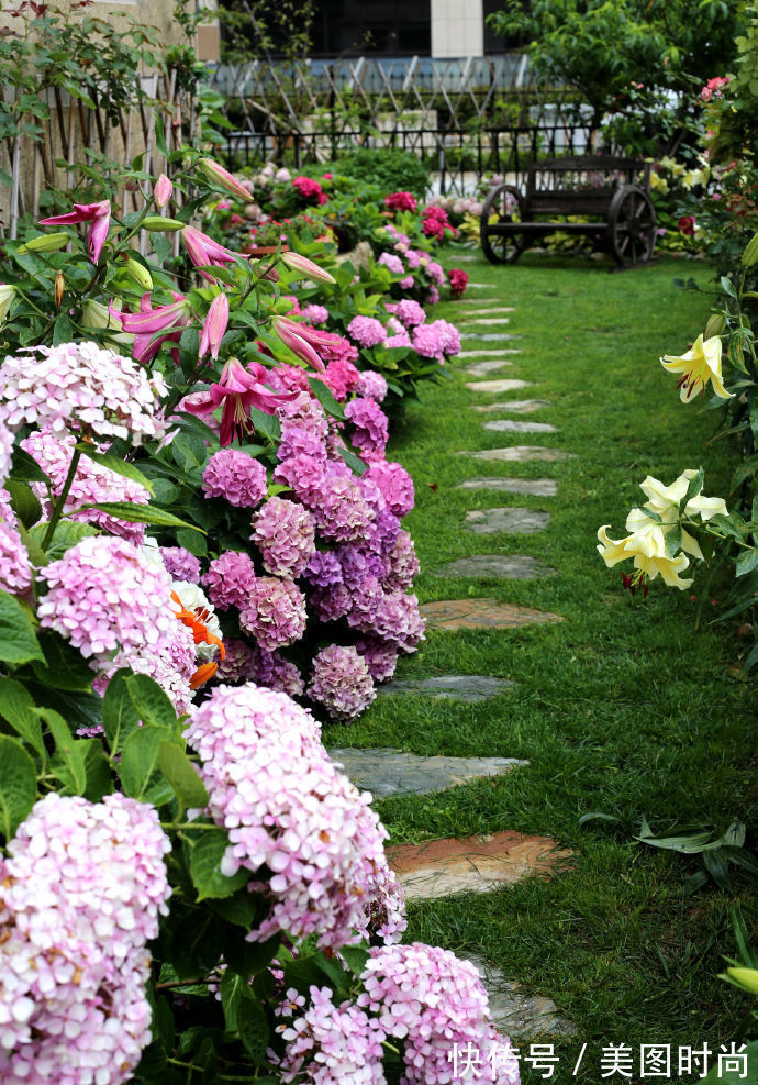 阳台上|为建花园,不顾反对买了一楼带院子,3年的亲手布置朋友都羡慕了