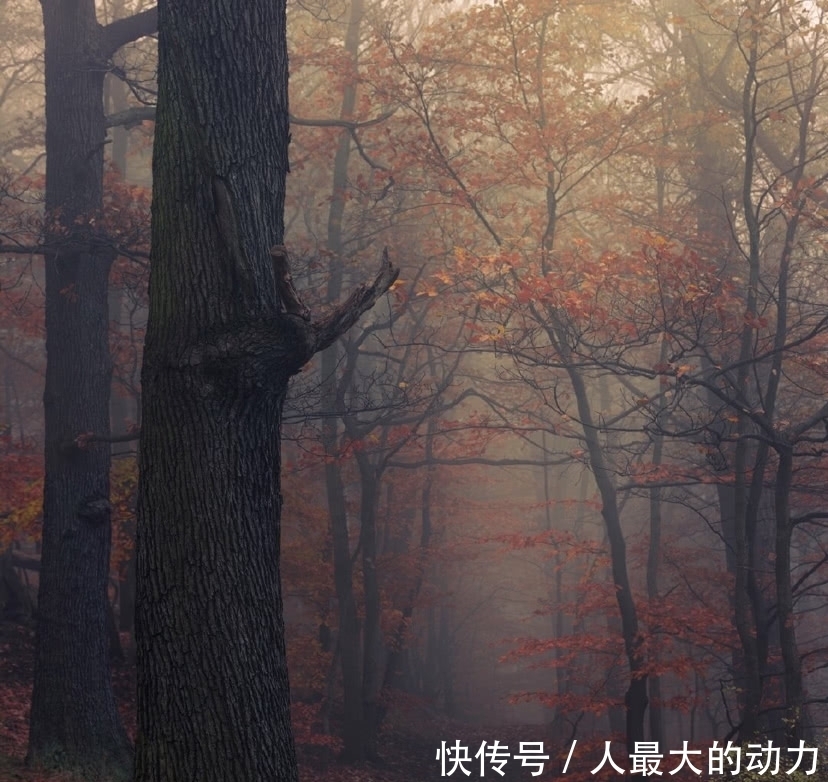 乡村|美图欣赏之中国乡村的美好图景