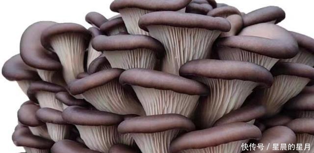 不是厨房达人，一样制作出外焦里嫩的椒盐平菇！