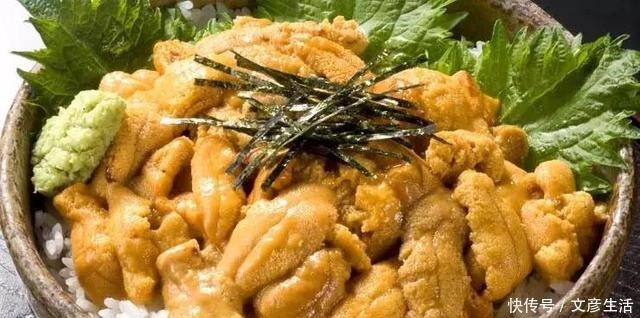 看穿|第一次吃海胆别充内行,行家一眼能看穿!懂不懂“看颜色”很关键