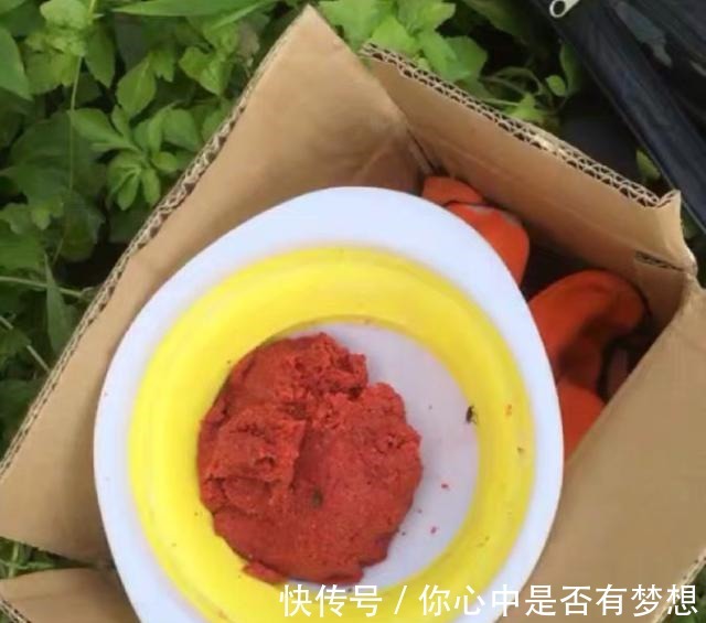 调漂|三伏天垂钓,九一八鱼饵这样配才叫真的好,大鲫鱼大鲤鱼挤满钓点!