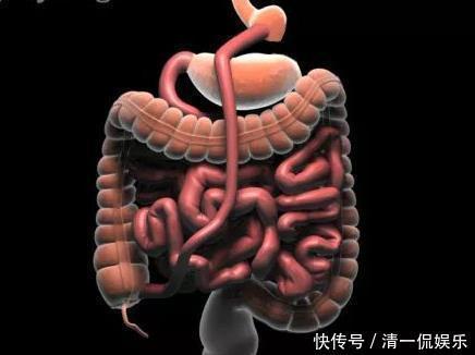 宿便|为什么四肢不胖，却出现肚腩罪魁祸首有4个