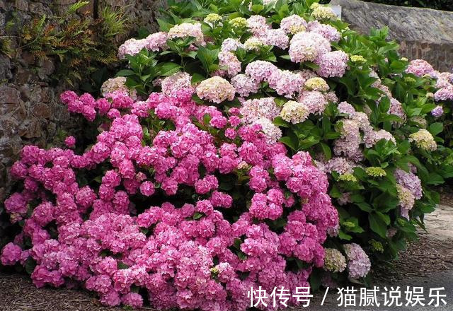 这9种花园,随便1个都美上天了,有一种这辈子就满足了!