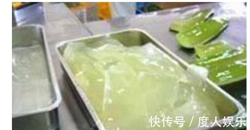 蟹爪兰不开花一周用一次“它”，花芽冒个不停，一开花就爆盆！