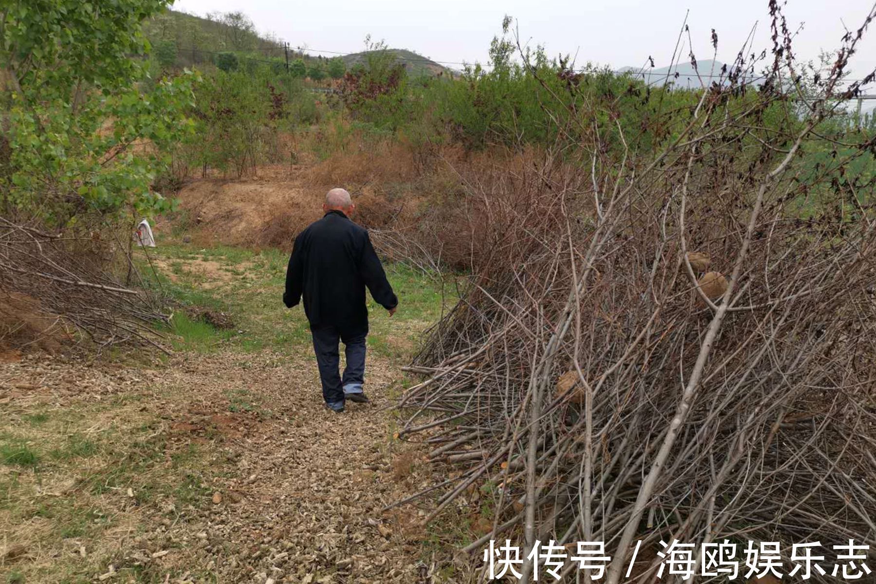 手指甲|农村7旬老人独身生活20年，手指甲长的惊人，看他生活成啥样
