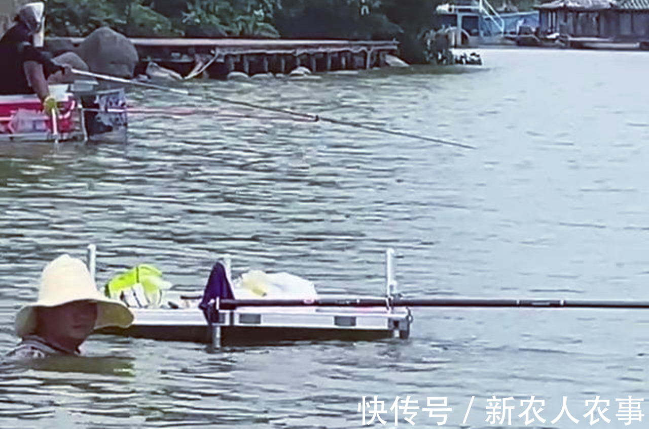 钓鱼|钓鱼也有瘾?江苏男子冒着暴雨在湖边垂钓,水淹到脖子仍纹丝不动