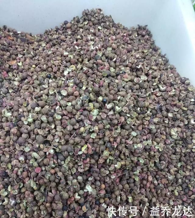 炒菜,花椒怎么弄才最麻冷油下锅还是热油下锅?