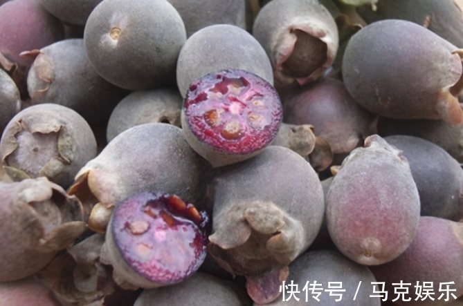 果皮|农村即将“消失”的野果子,吃过4种正常,全吃过的说明您真老了