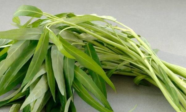 不起眼|农村不起眼的4种“抗癌王”,效果比蒲公英好100倍,太多人不知道