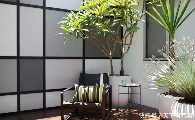 庭院,也需要断舍离