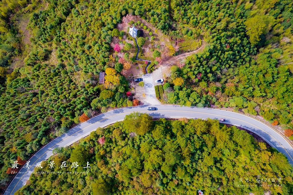 国道|庆元藏了一条绝美国道，承包一路醉美风景