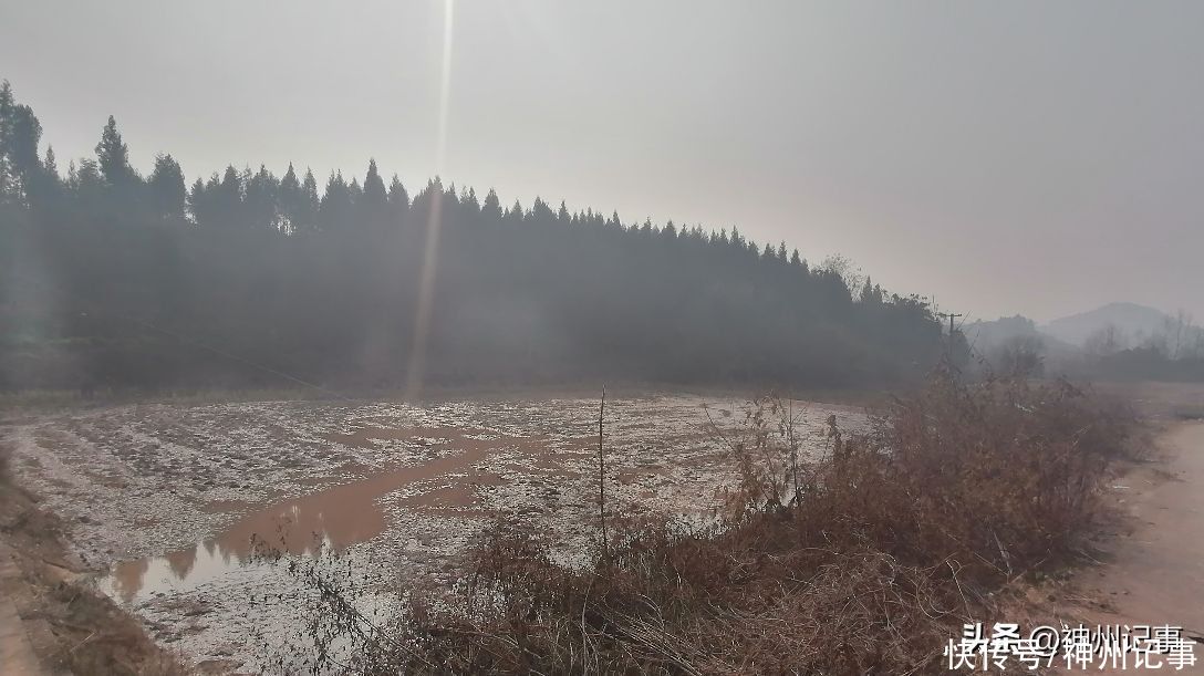 乡村冬闲田，一道靓丽的风景！