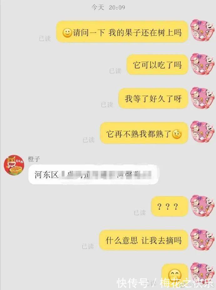 趣闻|【冷兔趣闻】和卖家的无效沟通