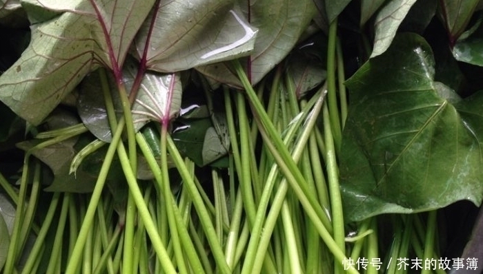 排出|胖人晚上多吃这菜,比“泻药”还清肠,排出体内垃圾,腰围变细了