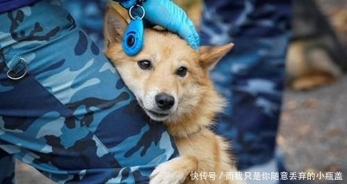 登录密码|短信嗅探是什么？应该要如何防范？