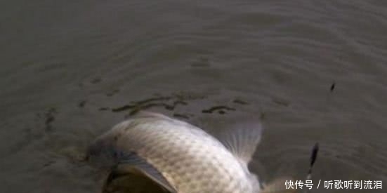 钓友|冬钓如何选择钓位?老钓友常用这3个“大招”,钓到天黑也不想走