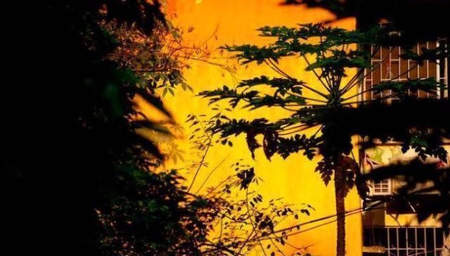 光阴|1000年来最有用的一句诗,短短7字,学会了一辈子受益无穷