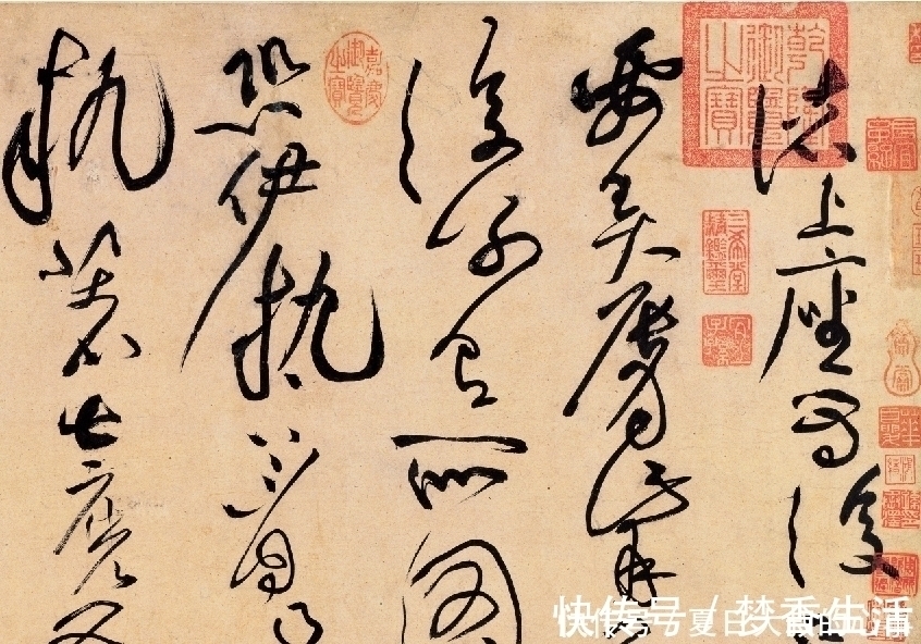 沈周@他独创“荡桨笔法”,字法奇宕,龙搏虎跃,又一个“草圣”级人物