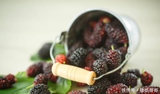 含有|桑葚营养好吃，桑葚有哪些功效和作用，吃桑葚有什么禁忌？