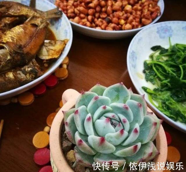 热饭菜能不能放冰箱？这么多年你都想错了，观念要更新