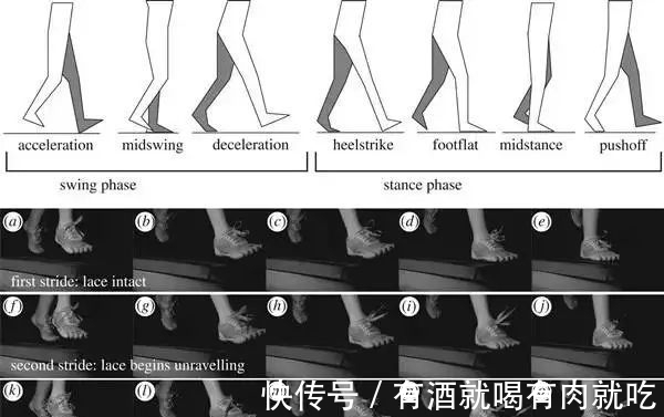 鞋带为什么总松开？真不怪你没系紧