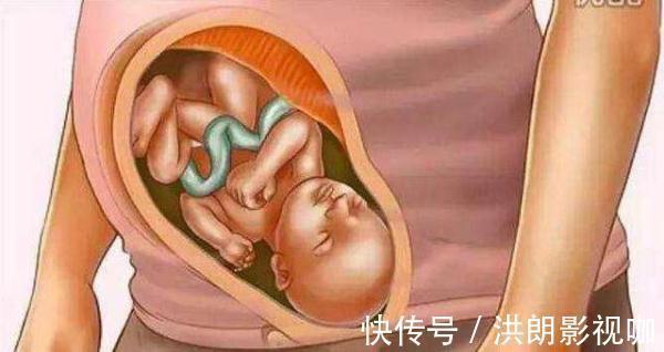 剧烈运动|怀胎十月到底是什么样的，十张图带你看孕育过程，生而为人须了解