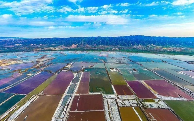 云上花海|寻美运城你我同行！运城“河东八景”开评