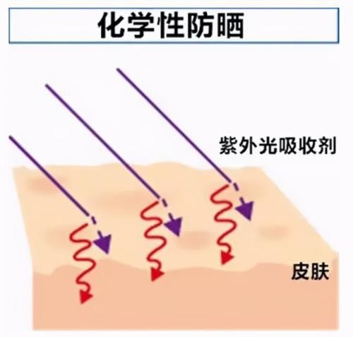 防晒不能天天涂？你在放屁！