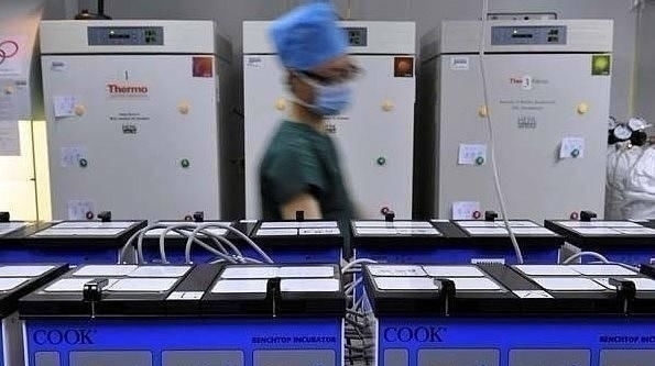 培养箱|揭秘试管婴儿全过程(附图),看完后心疼女性一万遍
