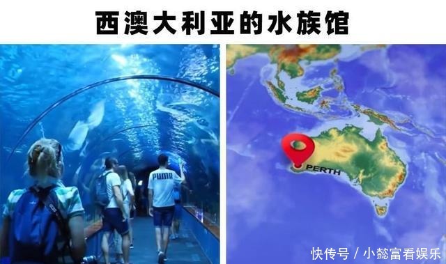 世界|世界上存在着的11个巨大而神奇的水族馆