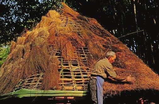 匠人@杜甫草堂博物馆有个特殊的工种,目前已是后继乏人,处于濒危状态