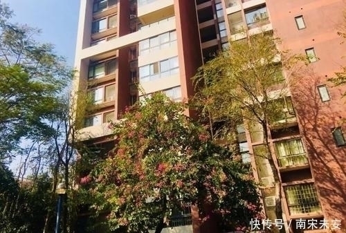 房子|不管一栋楼有多少层,买房万万要选这几层楼,后悔没早一点知道