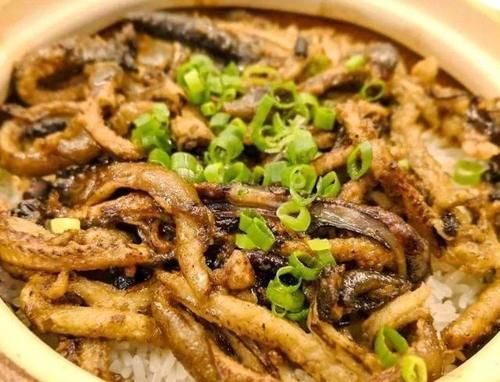  美食推荐：柠檬可乐鸡翅，虾仁炒西兰花，蒜茸烤虾，黄鳝煲仔饭的做法