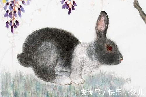 生肖兔生肖兔|2月下旬，桃花运超旺，和气生财，福运连绵的3大生肖