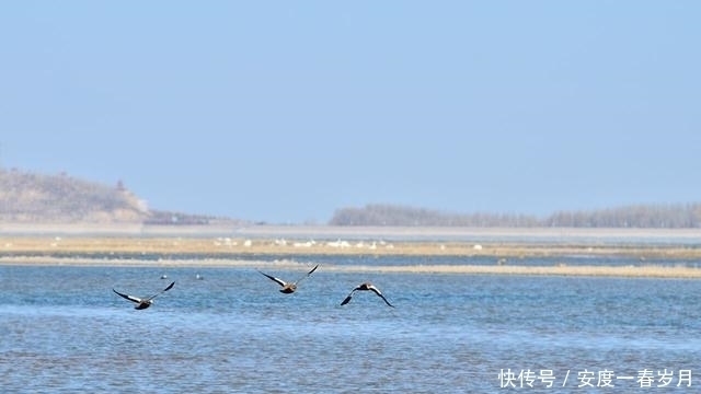 大漠|亚洲第一沙漠水库，养活了近三十万人，如今却常被后人吐槽