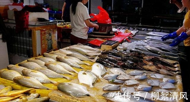 清蒸鲈鱼|上市场买鱼，这3种才是“营养首选”！一说名字老板便知你是行家！