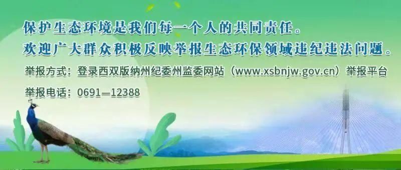  干部|“银发聚力新傣乡”离退休干部文艺汇演献礼建党100周年