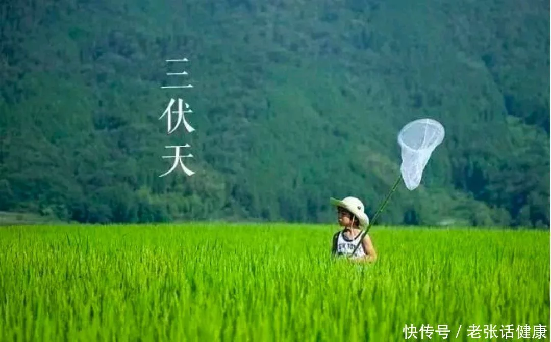 五体打油·准备安稳过伏天