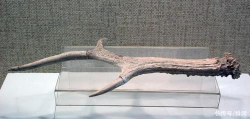 治疗|盘点30位中药之最，学会它，一定不吃亏!