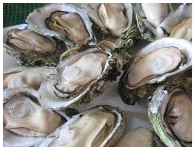 在家煮生蚝注意这1步,出锅后汁水不散,味道鲜美