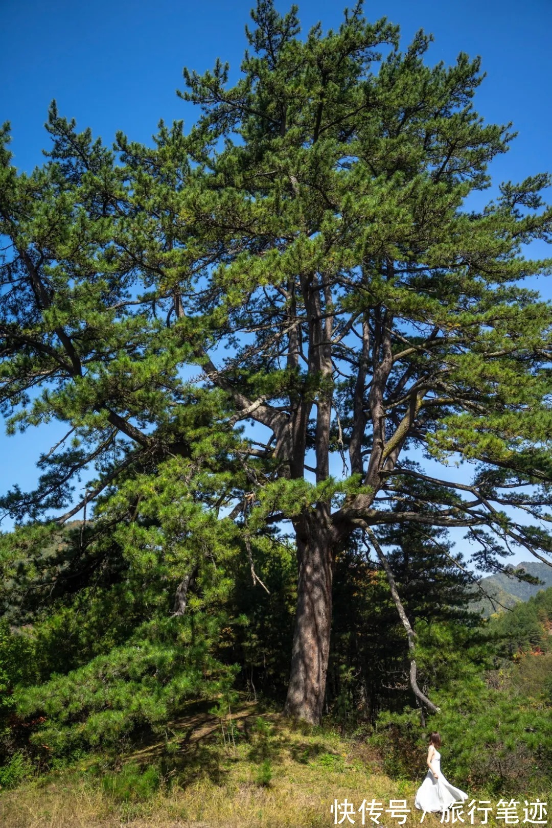 许家山|秘境徒步｜秦岭留坝深处这四条线路，惊艳了整个秋天