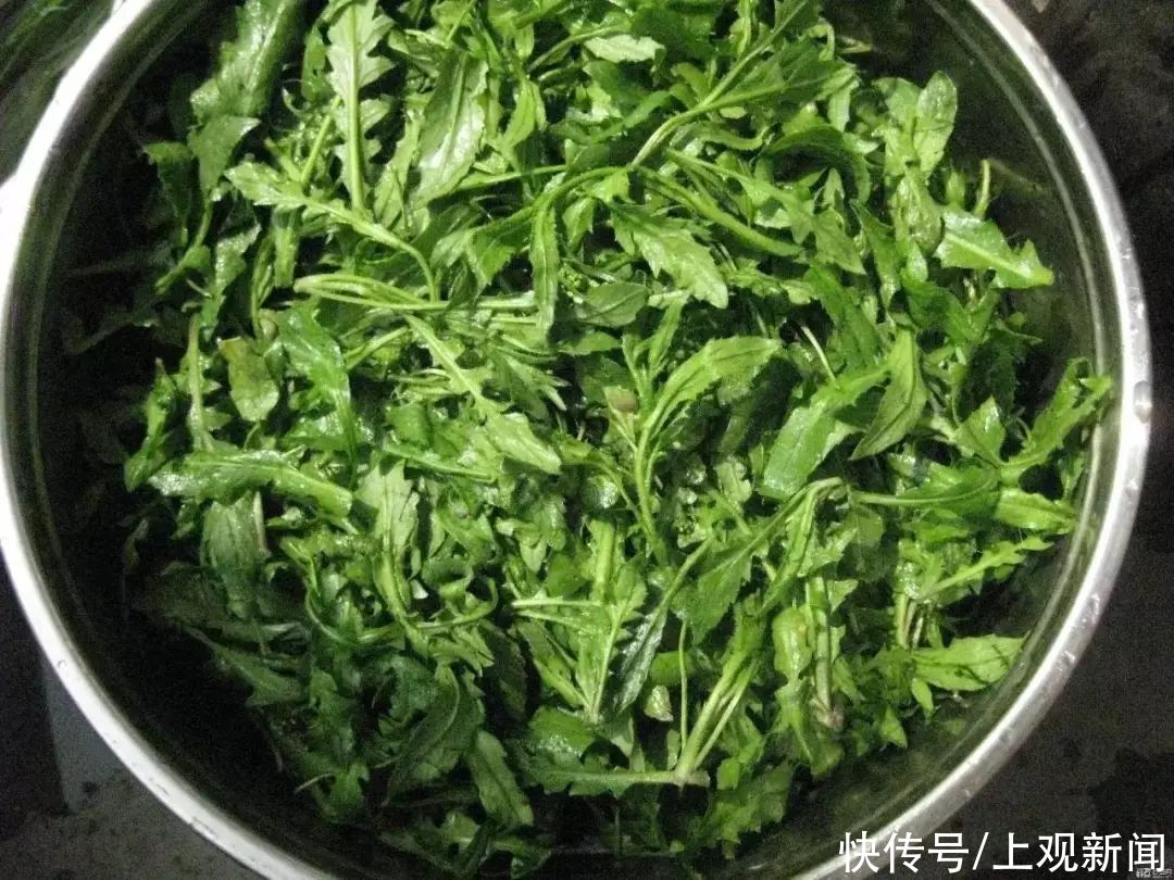 冬末春初百病起，想要疾病不粘身？趁早吃点“苦”