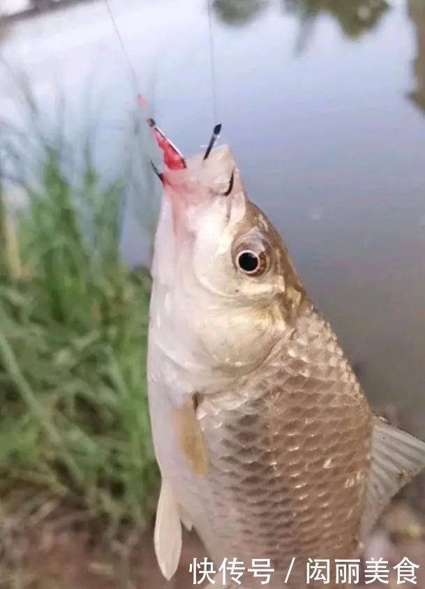 钓友|用小钩细线总是“缠子线”教你几招实用的,保证不打结不缠线