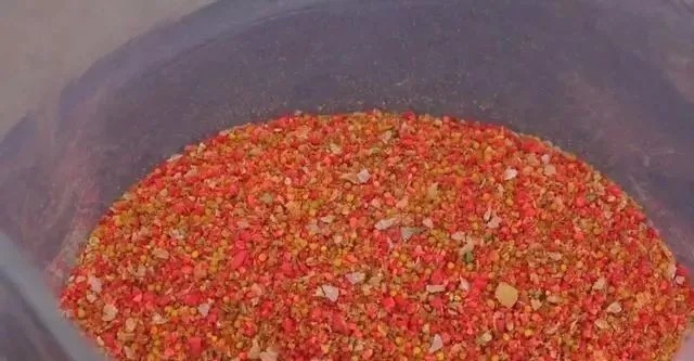 冬季正是钓鲤鱼旺季!只要掌握技巧,平时见不到的大鲤鱼频繁咬钩