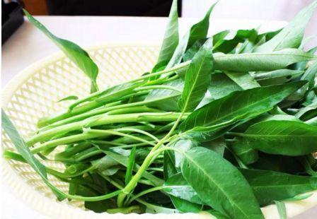 西红柿|女性不想变老,要常吃3物,美容排毒,延缓衰老,气色更好