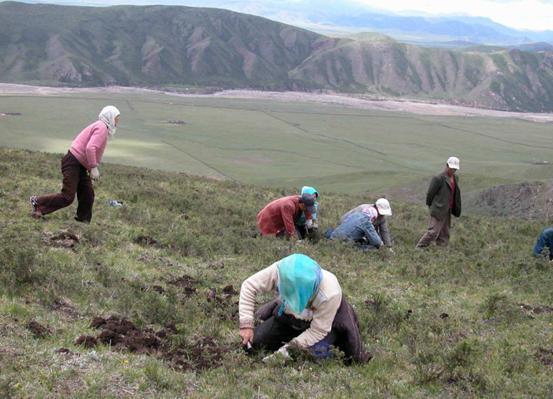淡化|建议吃逍遥丸能淡化色斑关于逍遥丸的使用,你需要注意!