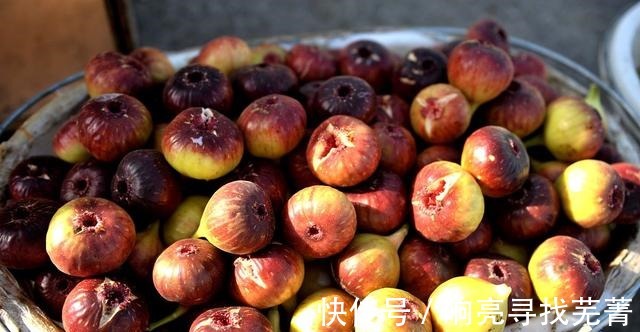 养殖|无花果又叫天仙果,营养丰富甜糯可口,很适合作为盆栽来养!