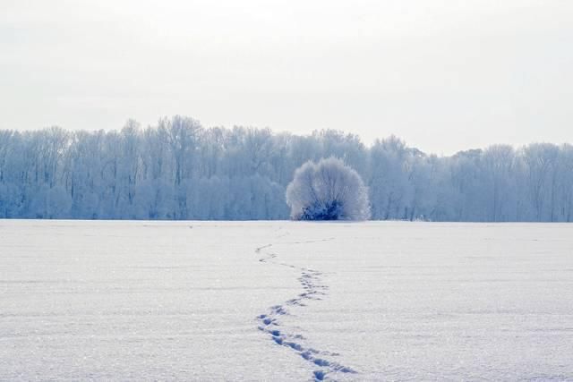  品读|品读名家笔下的雪景