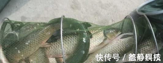 窝料|夜钓最好的机会来了!18条经验助你成功爆护!